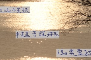 要夺冠！还要选对优质供货商才行 切尔西选布莱顿 海港选择莫雷拉